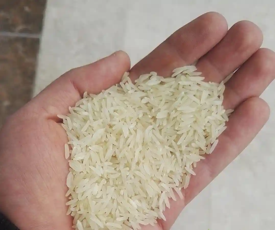 تصویر 1 از قیمت خرید برنج فجر درجه ۱ + فروش ویژه